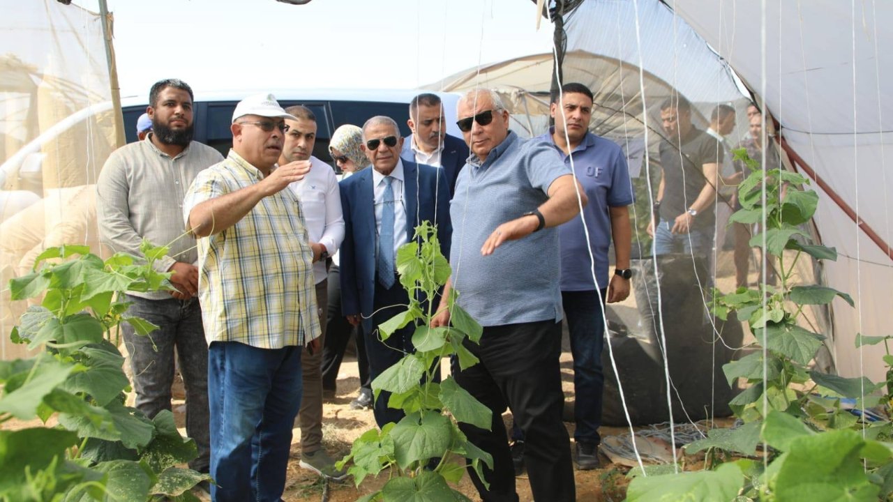 صوبات بالوادي
