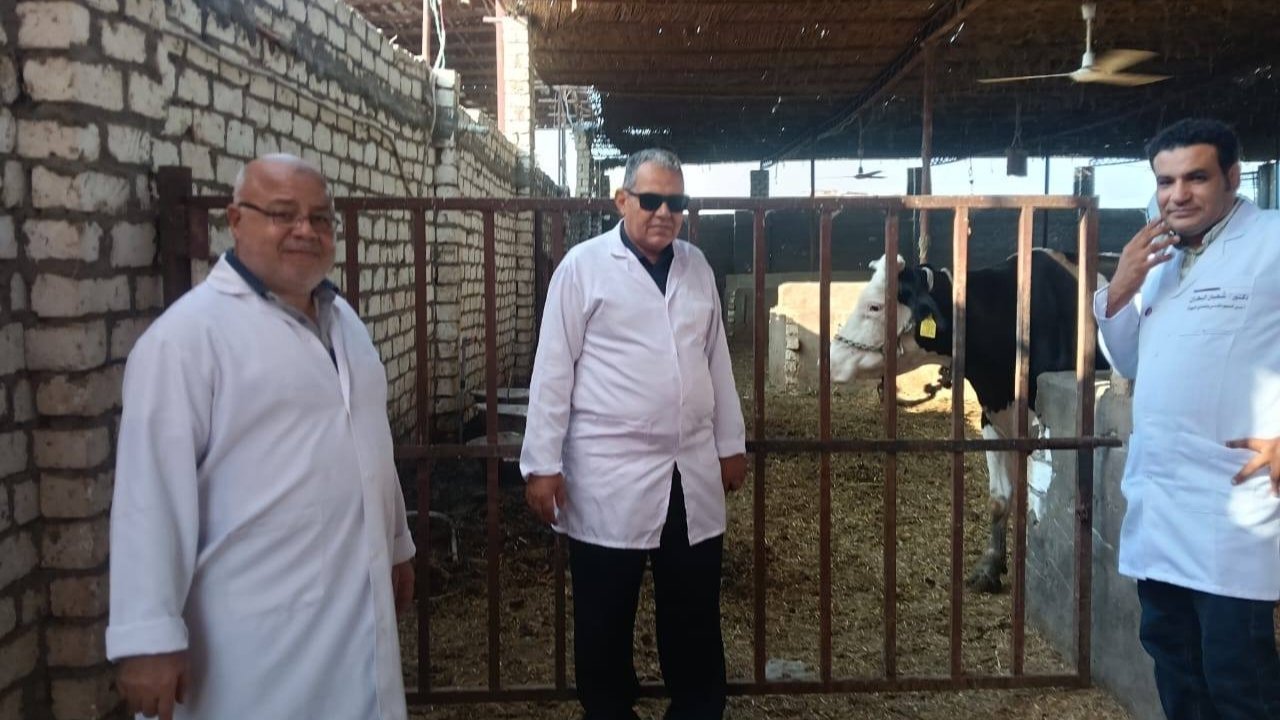محافظ الفيوم